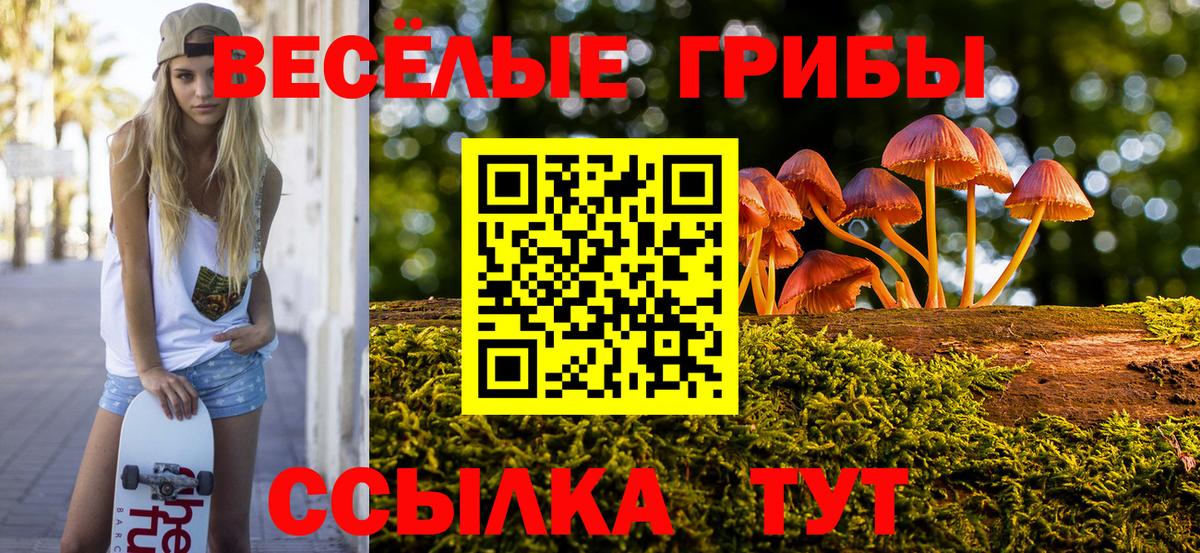 Галлюциногенные грибы мицелий Черкесск