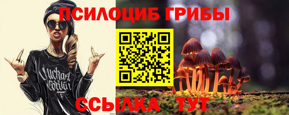 Черкесск  Галлюциногенные грибы прущие грибы  Вход с VPN 
